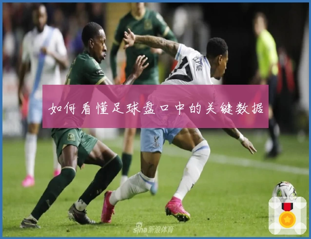 如何看懂足球盘口中的关键数据