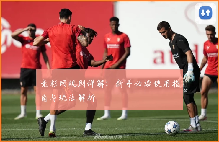 竞彩网规则详解：新手必读使用指南与玩法解析