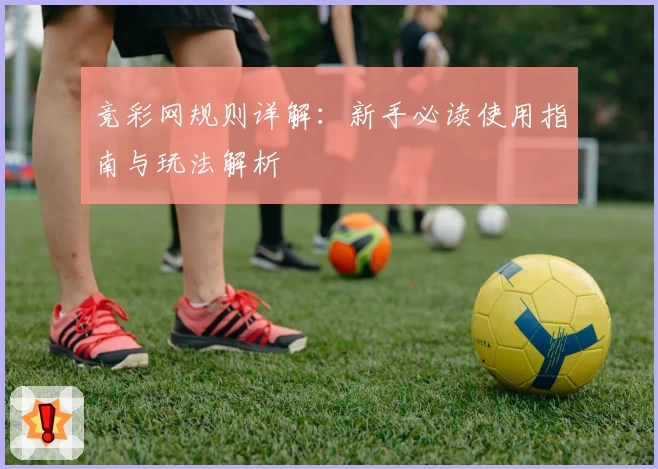 竞彩网规则详解：新手必读使用指南与玩法解析