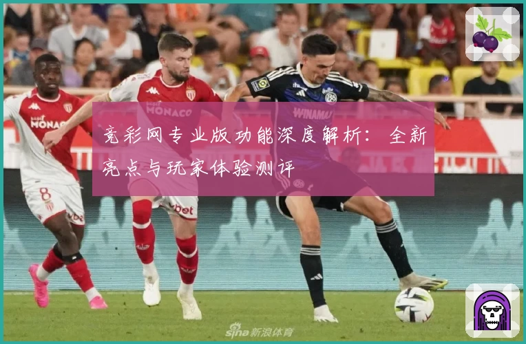 竞彩网专业版功能深度解析：全新亮点与玩家体验测评