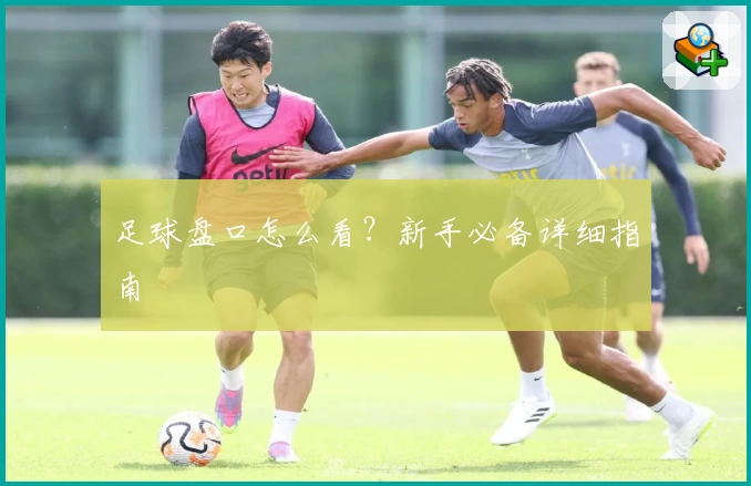 足球盘口怎么看？新手必备详细指南